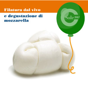 Mozzarella super fresca!! Lo spettacolo della filatura dal vivo è già di per sé un evento unico e spettacolare. Se poi è accompagnata da una degustazione del prodotto appena filato, diventa una vera magia!